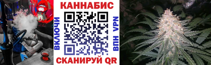 Купить закладки  Чистополь  Конопля сатива 